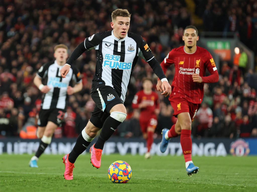 焕发出新的 焕发出新的